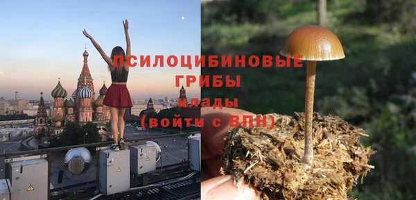 меф Горнозаводск