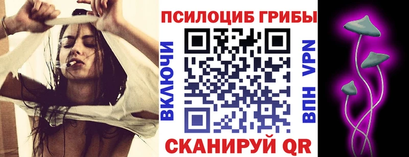 Псилоцибиновые грибы прущие грибы  Купить где  Пудож 